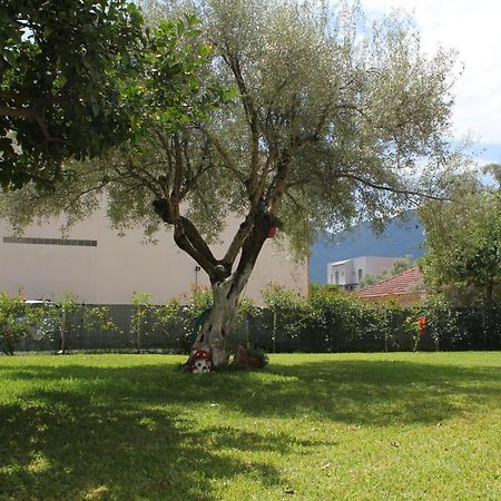 Holiday Lefkas Moonlight Luxury Appartments ニキアナ エクステリア 写真