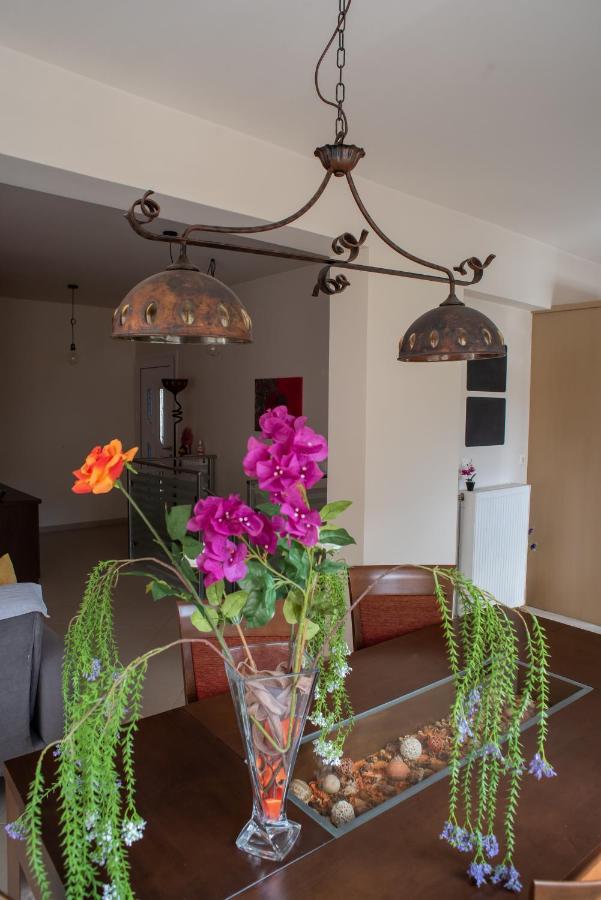 Holiday Lefkas Moonlight Luxury Appartments ニキアナ エクステリア 写真